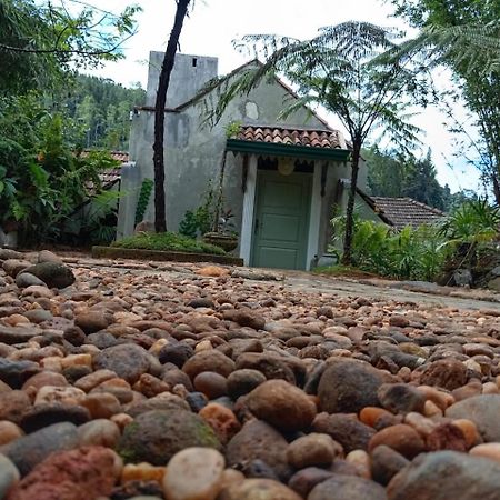 Jansen'S Bungalow Sinharaja Rainforest Retreat Kudawe Exteriér fotografie