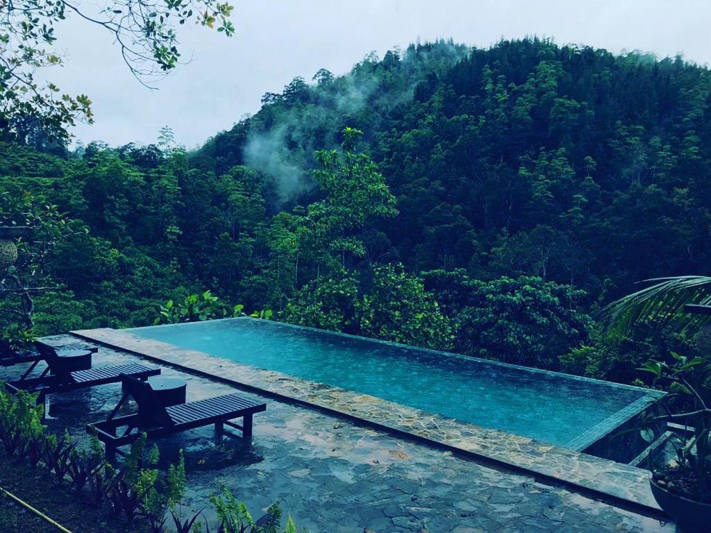 Jansen'S Bungalow Sinharaja Rainforest Retreat Kudawe Exteriér fotografie