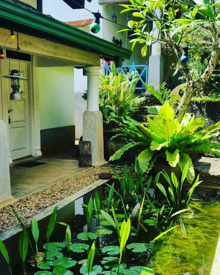 Jansen'S Bungalow Sinharaja Rainforest Retreat Kudawe Exteriér fotografie